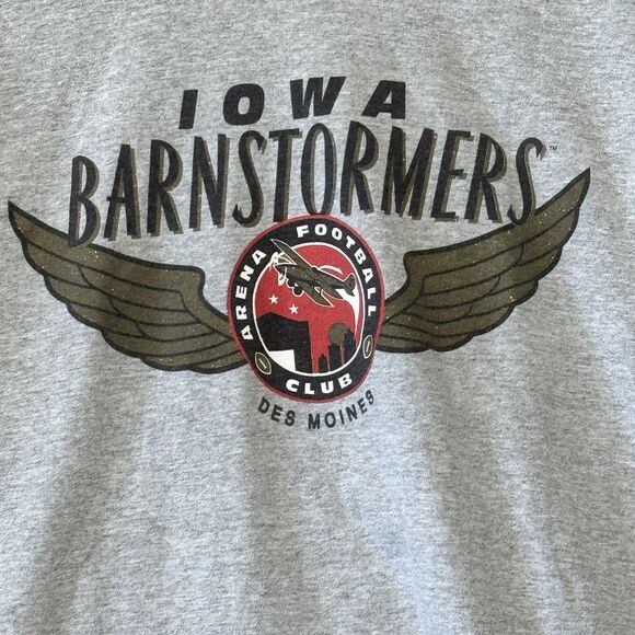 Vintage Iowa Barnstormers AFL T Shirt Adult XL Gray 90s Arena Football Cut Tag - Picture 2 of 6